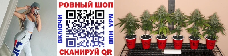 Купить закладку А ПВП  МЕФ  ГАШИШ  Вязники