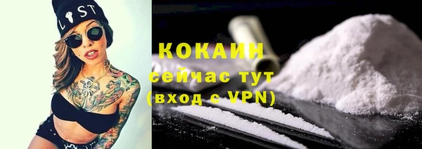 молекула духа Дмитров