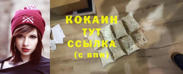 молекула духа Дмитров