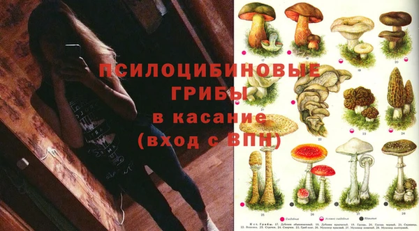 марихуана Дмитриев