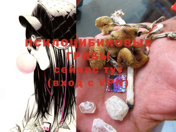 гашиш Елизово