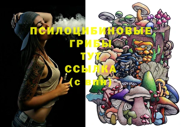 гашиш Елизово