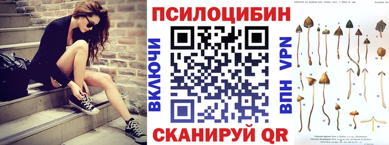 Купить закладки  Вязники  Псилоцибиновые грибы ЛСД 